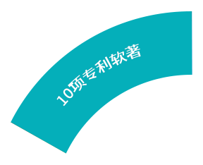 10项专利软著